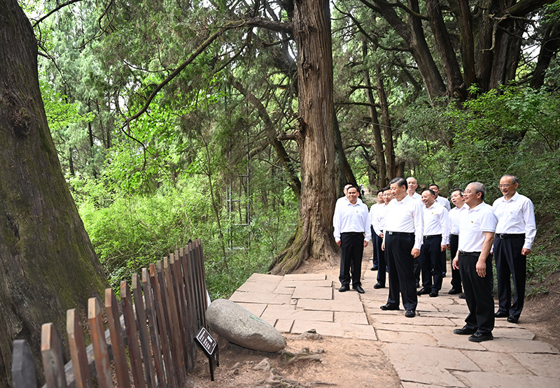 7月25日至27日，中共中央總書(shū)記、國家主席、中央軍委主席習近平在四川考察。這是25日下午，習近平在廣元市劍閣縣翠云廊考察。